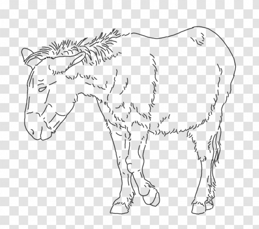 Mule Donkey Mustang Mane Halter - Drawing Transparent PNG