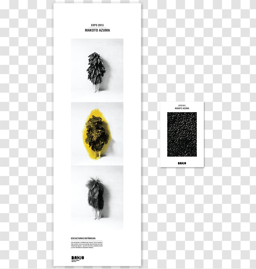 Graphic Design Brand Font - Makoto Azuma - Indie Flyer Transparent PNG
