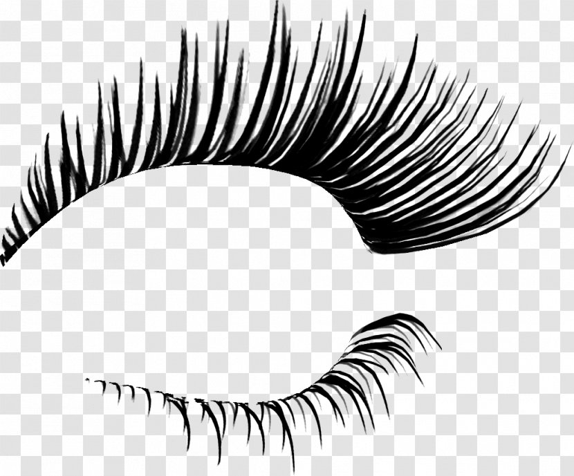 Eyelash Extensions Cosmetics Clip Art - Silhouette - Eyelashes Transparent PNG