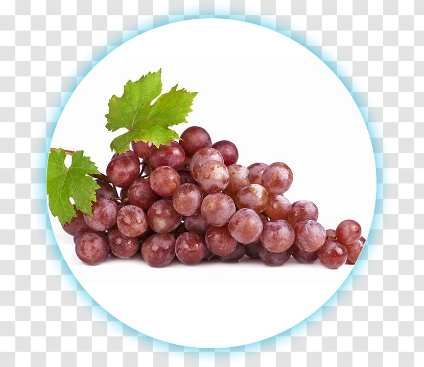 Common Grape Vine Wine Grapes Jabuticaba - Grapevines Transparent PNG