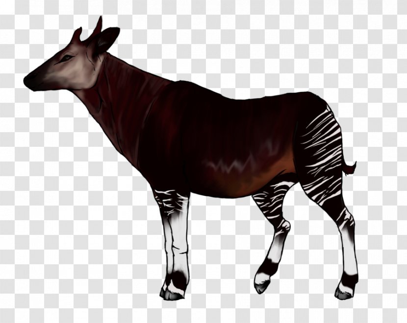Okapi Giraffe Animal Clip Art - Terrestrial Transparent PNG