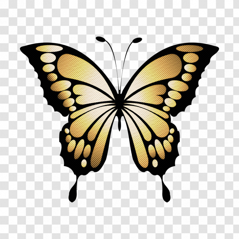 Butterflies Pale Clouded Yellow Cartoon Clouded Yellow Brush-footed Butterflies Transparent PNG