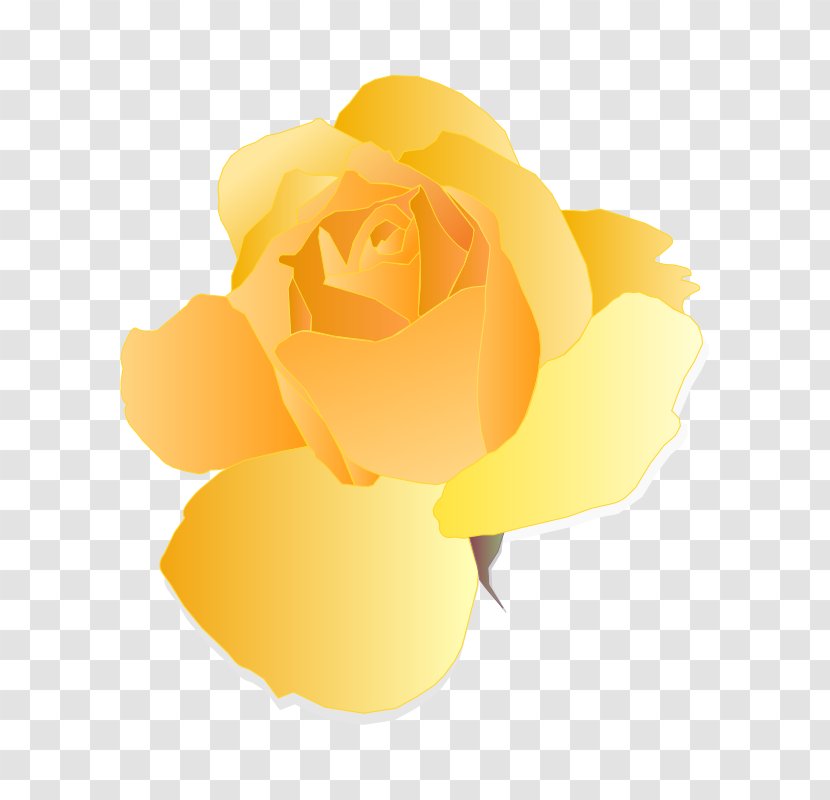 Rose Yellow Clip Art - Flowering Plant Transparent PNG