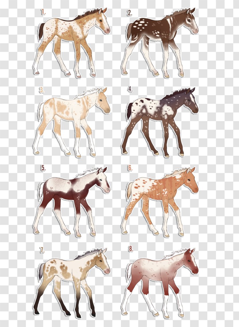 Mustang Pack Animal Freikörperkultur Terrestrial - Horse Transparent PNG