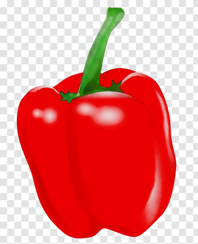 Pimiento Bell Pepper Natural Foods Vegetable Red - Paint - Paprika Plant Transparent PNG