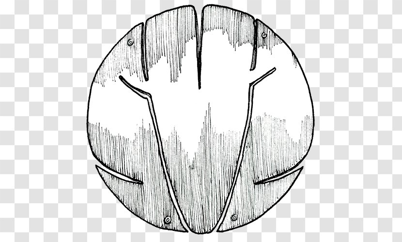 Circle Tree Line Art Angle Jaw - Monochrome Photography Transparent PNG