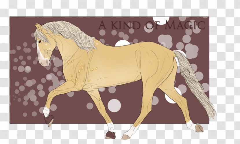 Mustang Stallion Pony Mare Mane Transparent PNG
