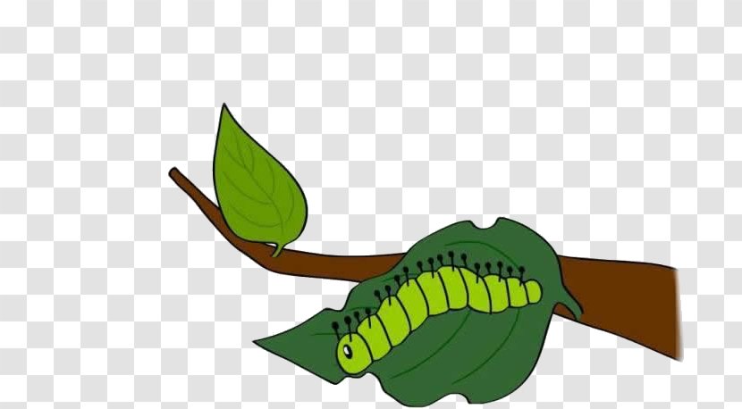 The Very Hungry Caterpillar Insect Butterfly Animal - Information - Green Leaves On Caterpillars Transparent PNG