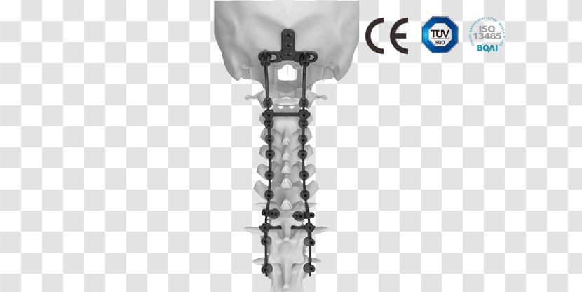 Infrared Thermometers Vertebral Fixation System - Neck Transparent PNG