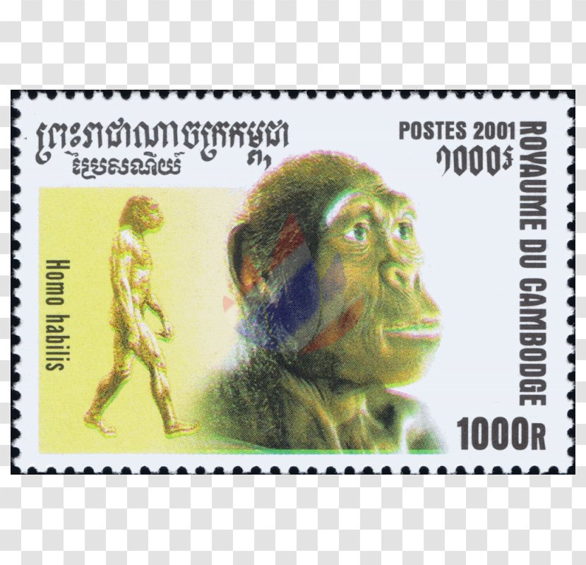 Postage Stamps Animal Religion Mail Disability - Human Beings Transparent PNG