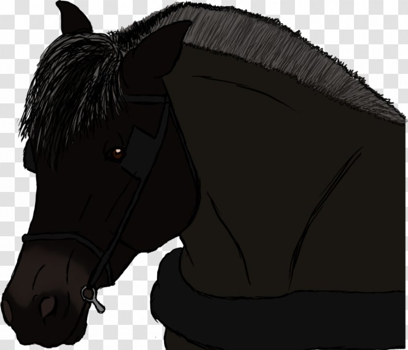 Mane Rein Mustang Pony Halter - Horse Supplies Transparent PNG