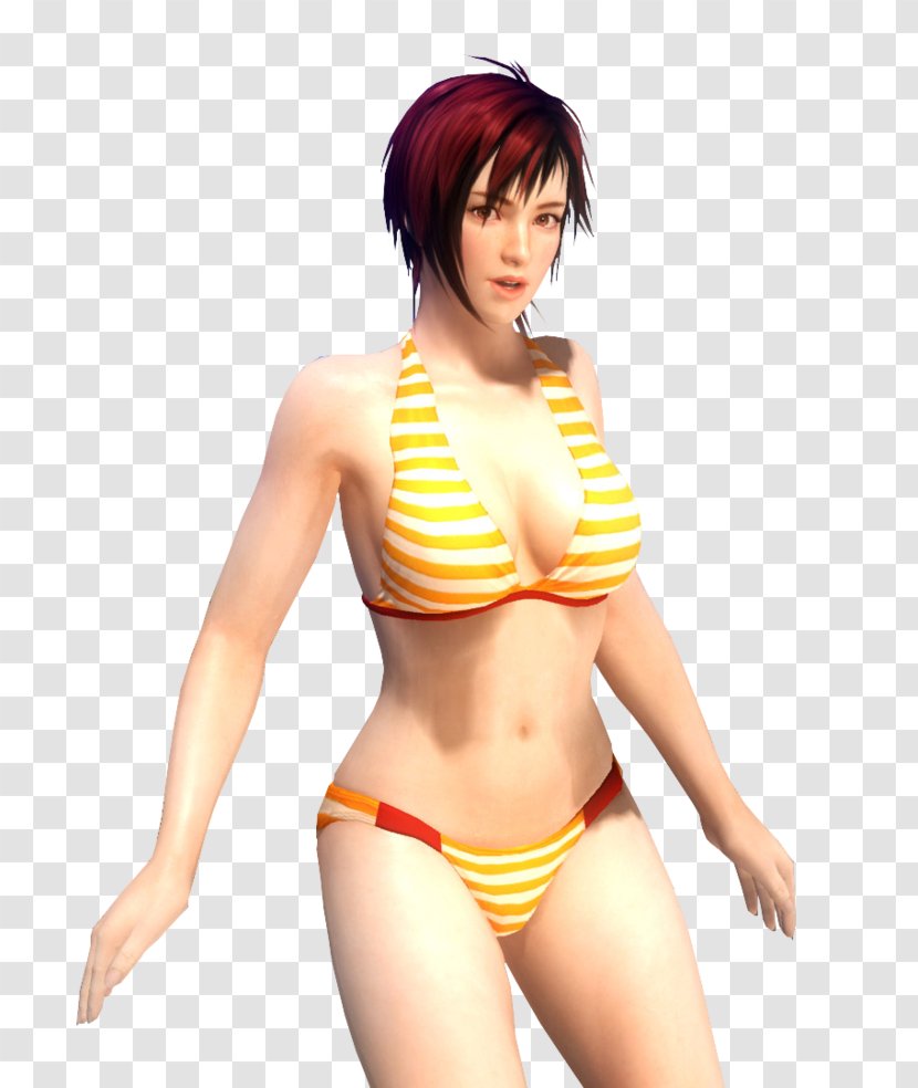 Dead Or Alive 5 Alive: Dimensions Video Game Rendering Nintendo 3DS - Flower - Honk Transparent PNG