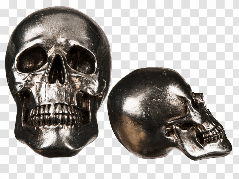 Skull Calavera Totenkopf Skeleton Bone - Jaw Transparent PNG