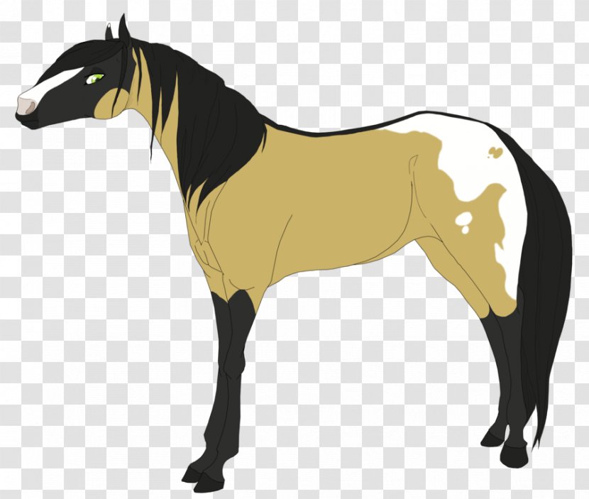 Mule Foal Stallion Mare Mustang - Ribcev Laz Transparent PNG