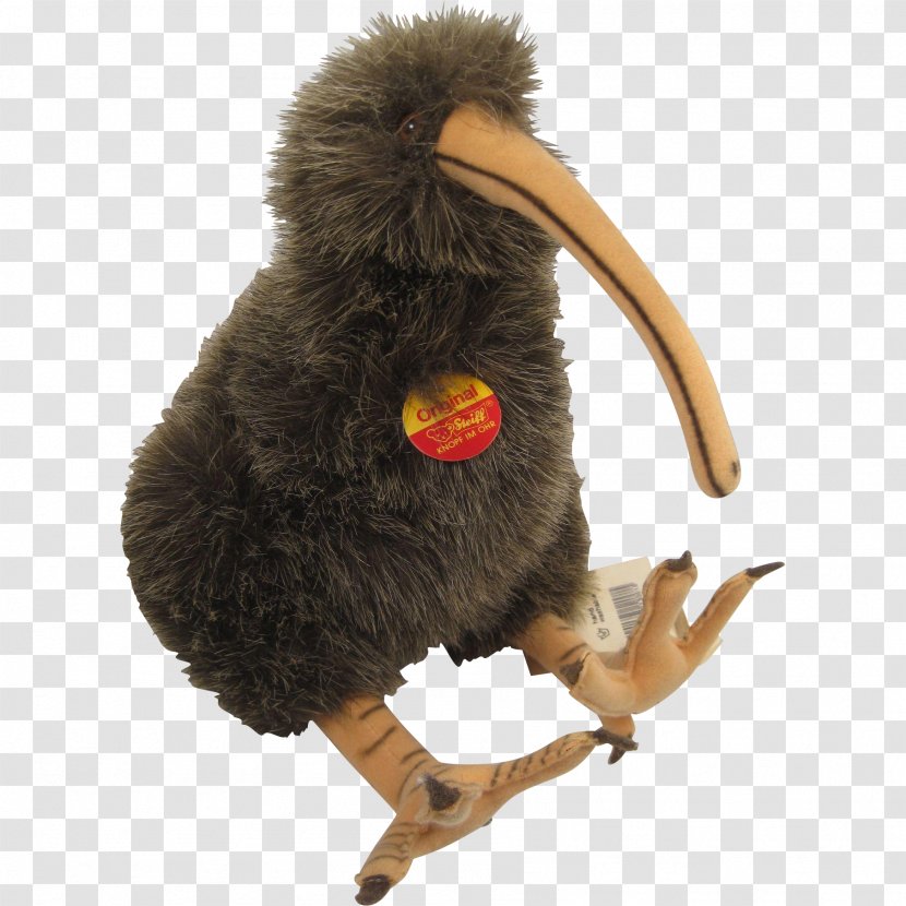 Beak Fur Animal - Kiwi Bird Transparent PNG