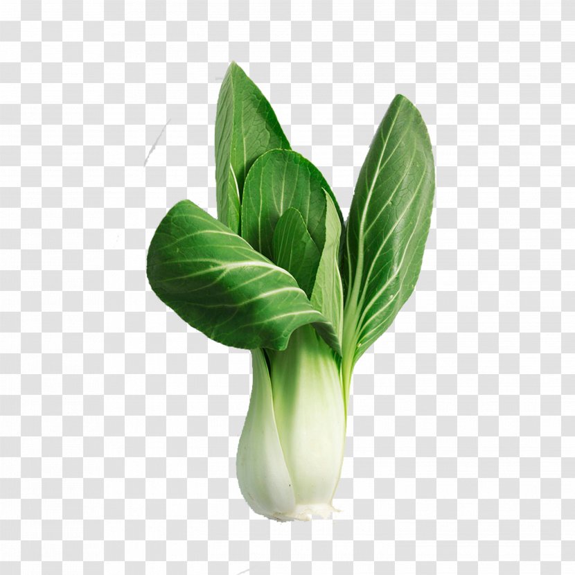 Red Cabbage Bok Choy Vegetable Chinese Broccoli Transparent PNG