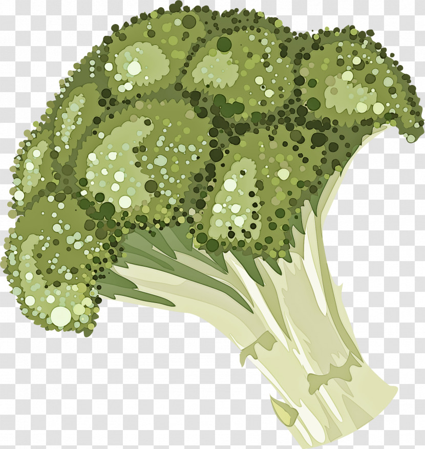 Flower Plant Leaf Broccoli Leaf Vegetable Transparent PNG