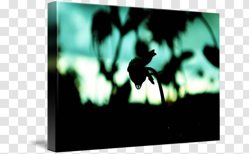 Desktop Wallpaper Picture Frames Stock Photography - Bokhe Transparent PNG