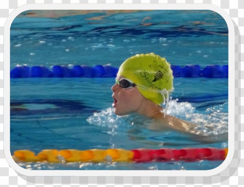 Swim Caps Freestyle Swimming Water Pool - Cap - Training Transparent PNG