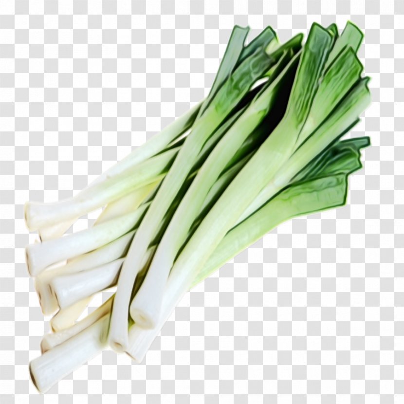 Vegetable Welsh Onion Calçot Leek Food - Chives Ingredient Transparent PNG
