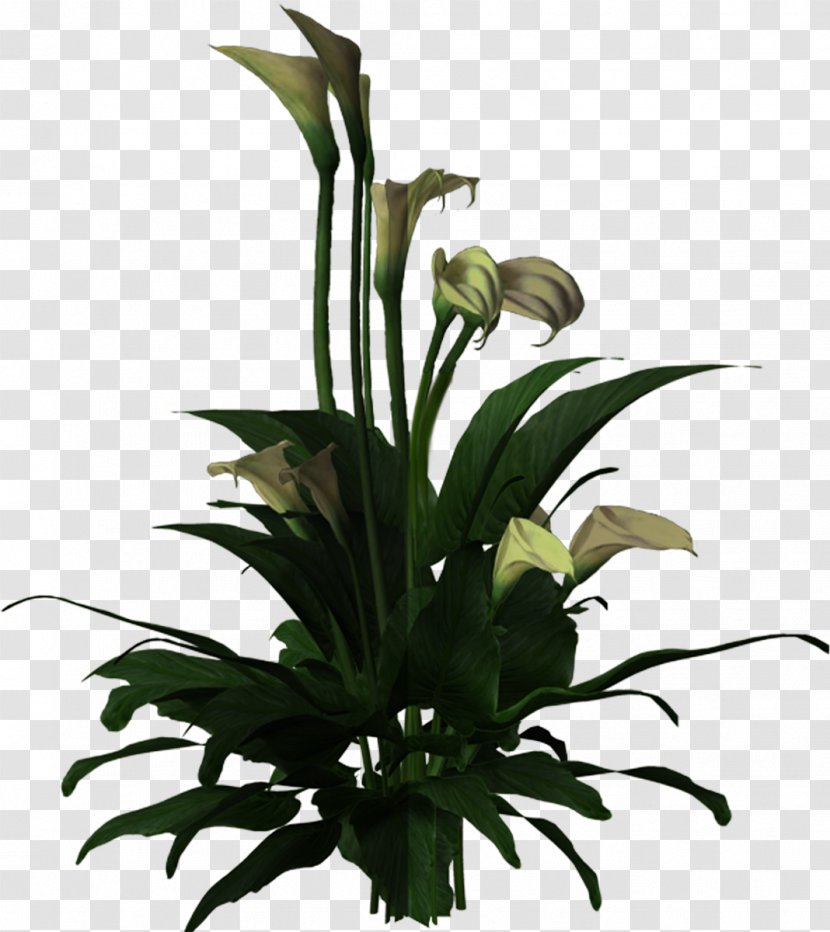 Floral Design Cut Flowers Flowerpot Plant Stem - Flower Arranging Transparent PNG
