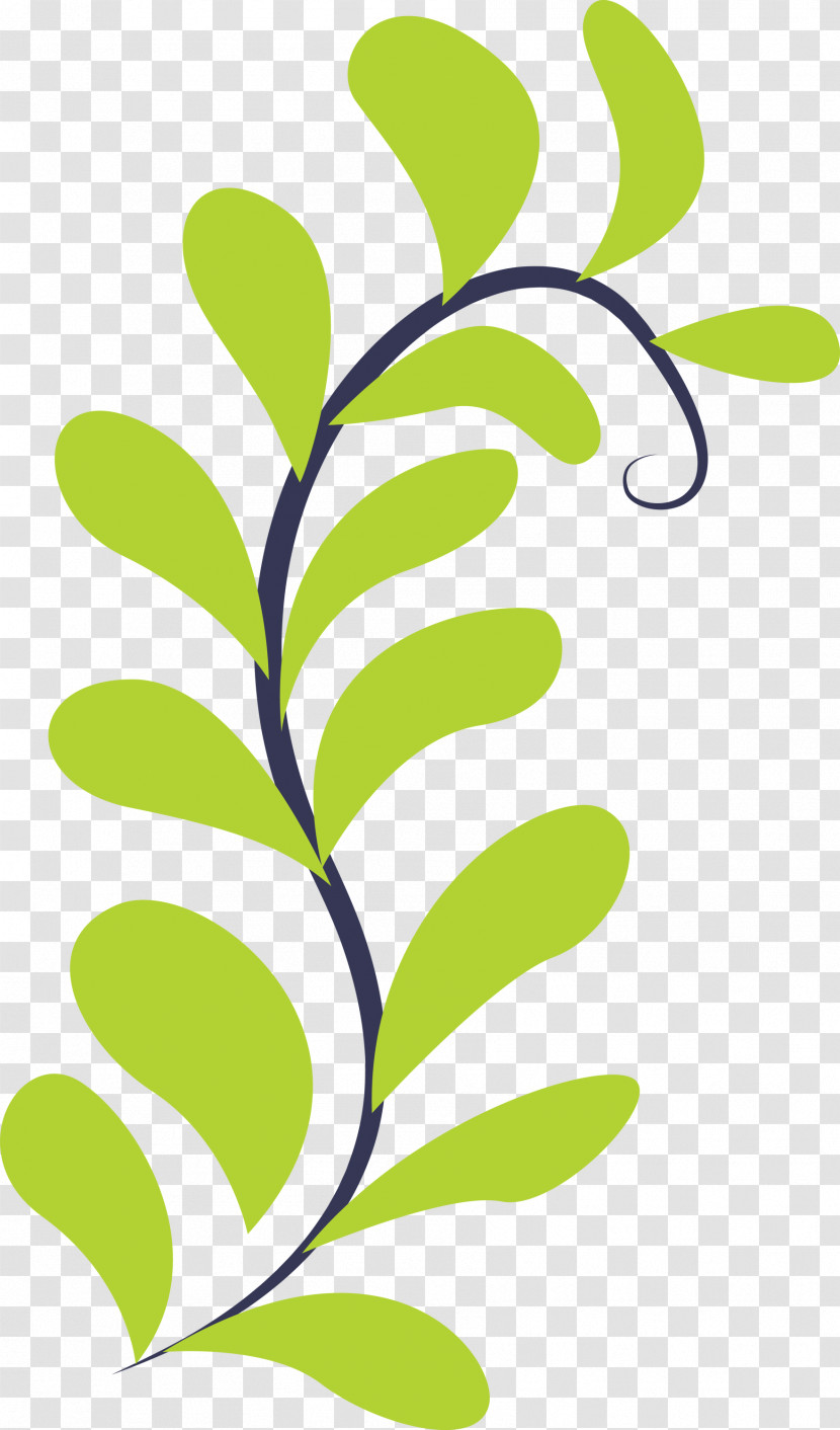 Plant Stem Leaf Green Flower Text Transparent PNG