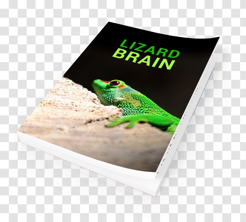 Frog Advertising Brand - Amphibian Transparent PNG