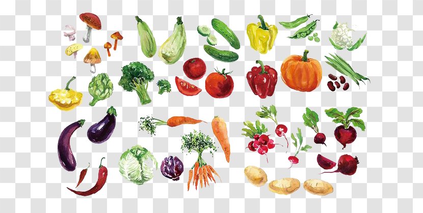 Fruit Vegetable Watercolor Painting - Vegetables Transparent PNG