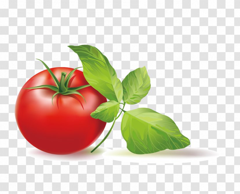 Cherry Tomato Italian Pie Clip Art - Vector Transparent PNG