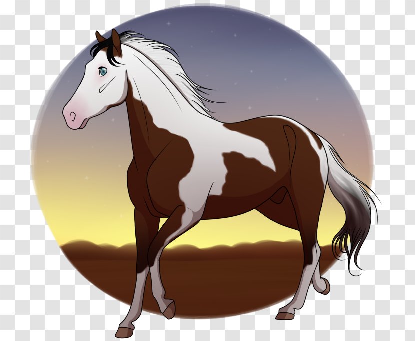 Mustang Foal Stallion Mare Colt - Mirage Background Transparent PNG
