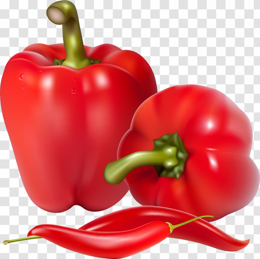 Bell Pepper Chili Vegetable Food - Peperoncini Transparent PNG