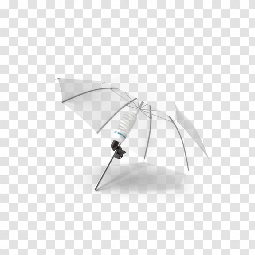 Chroma Key Photographic Studio Photography - Lighting - Umbrella Transparent PNG