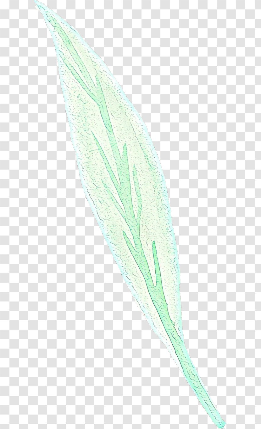 Feather - Leaf - Flower Writing Implement Transparent PNG