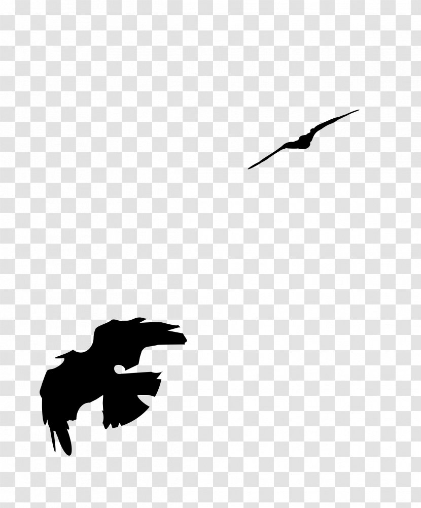 Bird Carrion Crow Clip Art - Silhouette - Black Transparent PNG