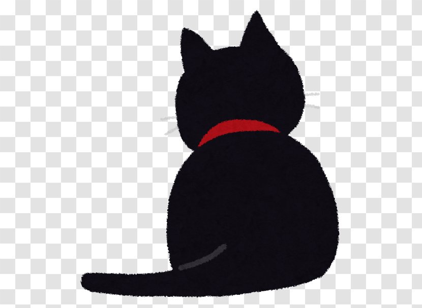 Black Cat Kitten Food Instagram - Whiskers Transparent PNG