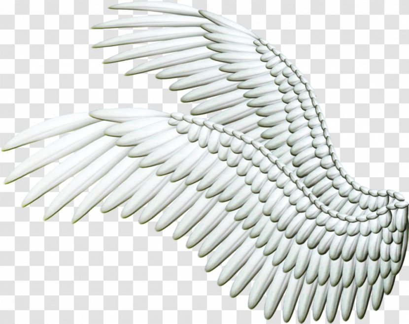 Angel Wings - Art - Sticker Transparent PNG