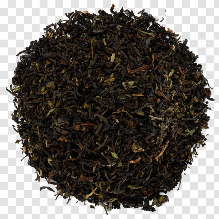 Dianhong Green Tea Oolong Nilgiri - Longjing Transparent PNG