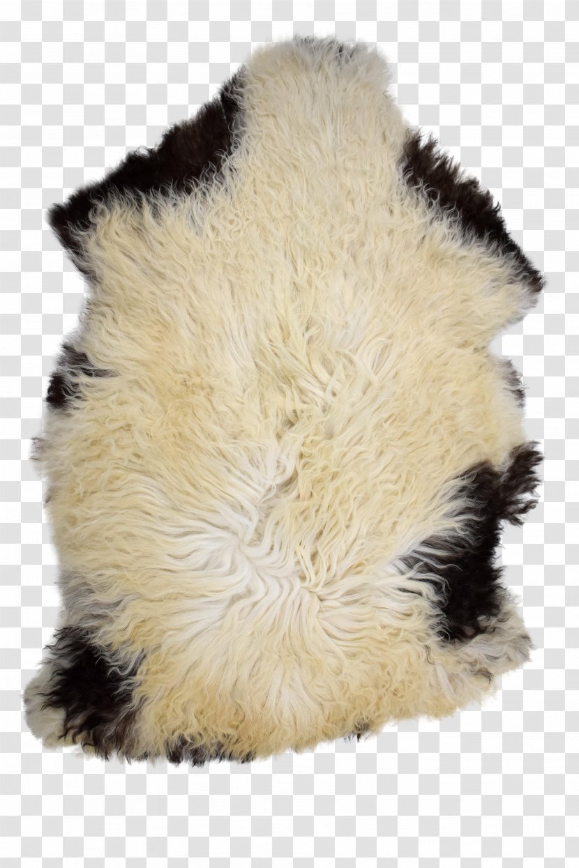 Fur Snout Transparent PNG