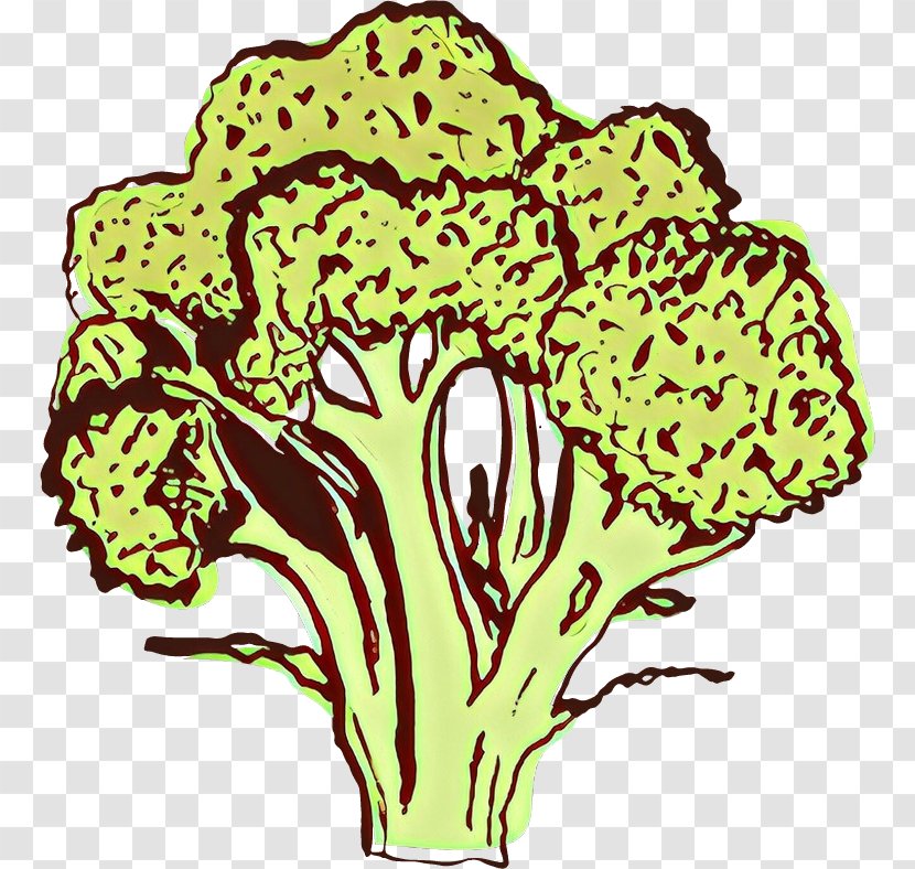Plant Leaf Vegetable Clip Art Stem Flower - Cabbage Line Transparent PNG