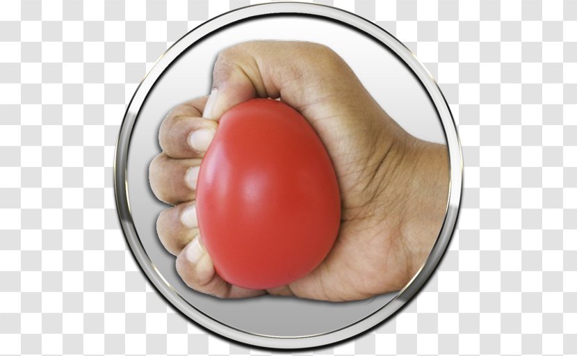 Stress Ball Cardiac Test Transparent PNG