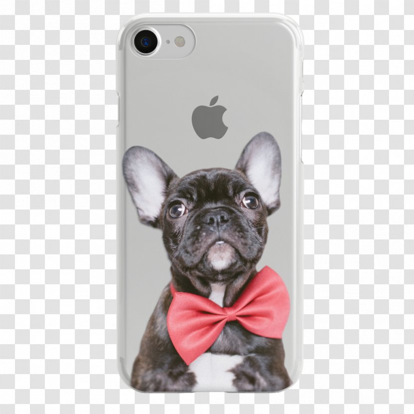 IPhone 5s 7 Samsung Galaxy S8 6S Toy Bulldog - Mammal - Pug Transparent PNG
