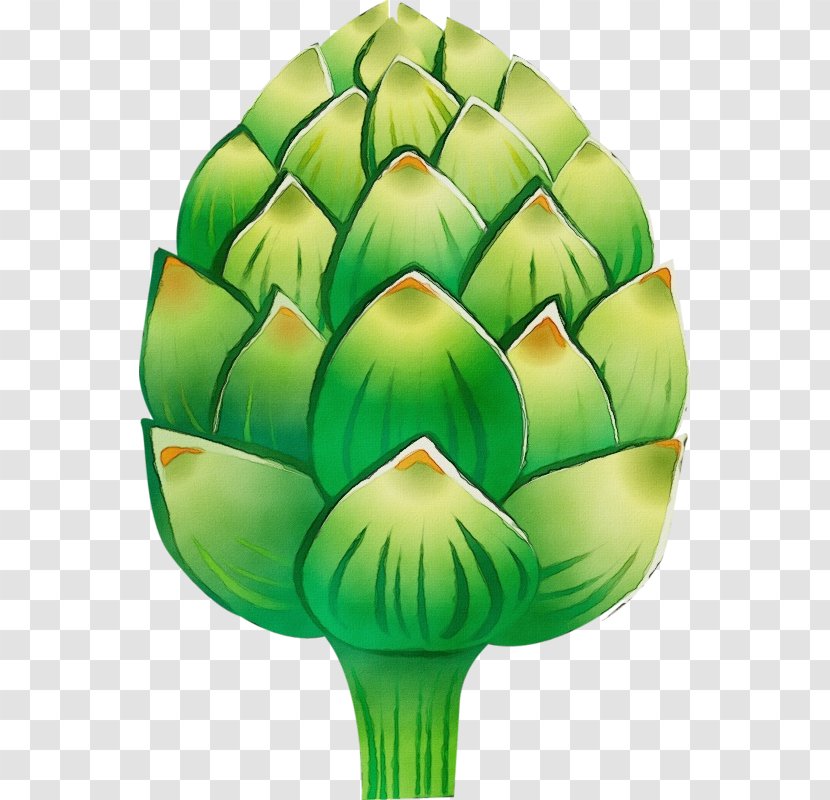 Artichoke Green Leaf Cynara Clip Art - Wet Ink - Vegetable Plant Transparent PNG