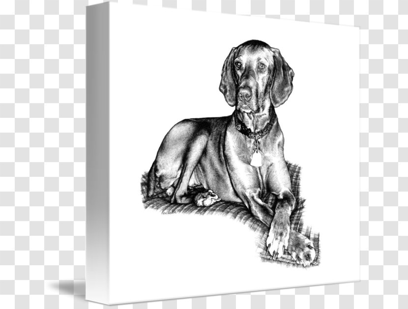 Weimaraner Wirehaired Vizsla Puppy Dog Breed Transparent PNG