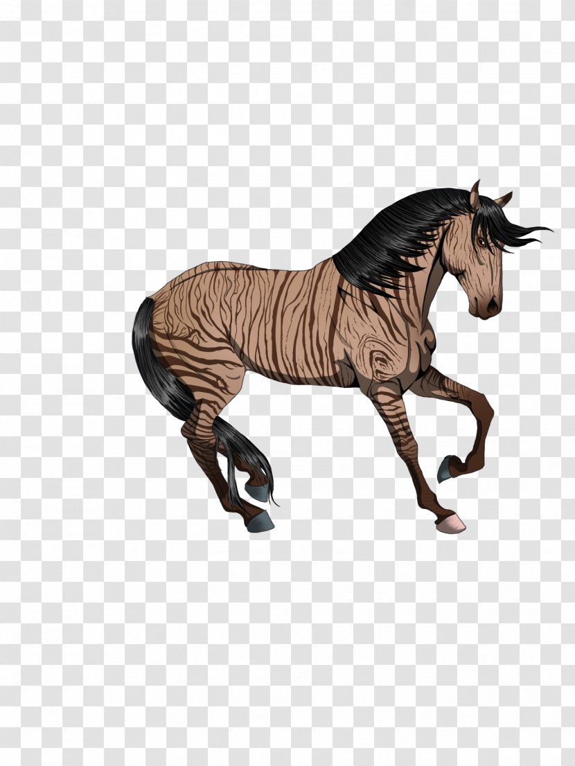 Mustang Stallion Rein Quagga Pack Animal - Horse Transparent PNG