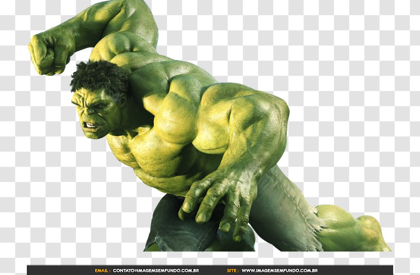 Hulk Thunderbolt Ross High-definition Television Desktop Wallpaper - Vegetable Transparent PNG