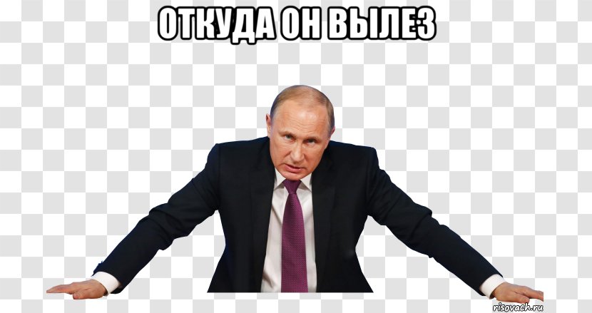 Russian Presidential Election, 2018 Politics United Russia - Election Transparent PNG