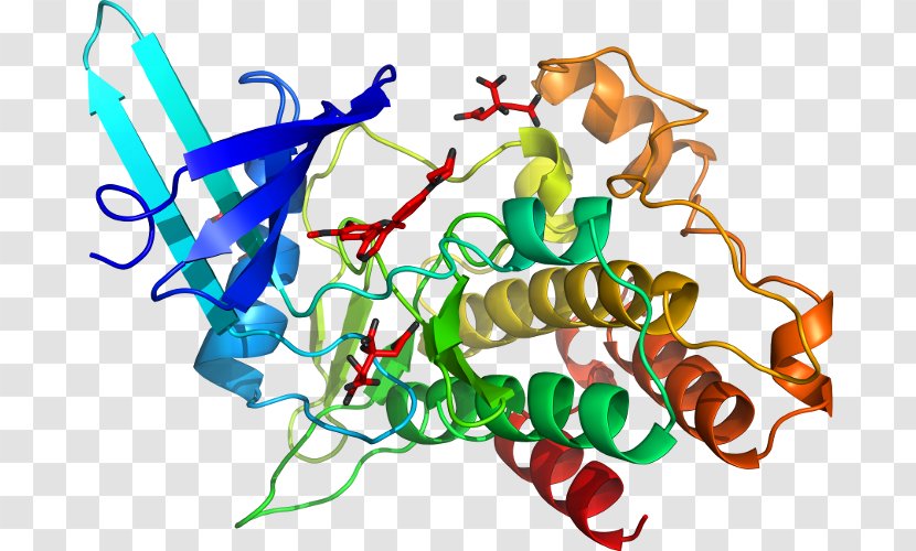 GSK-3 Glycogen Synthase Kinase GSK3B GSK3A Protein - Text - Threonine Transparent PNG