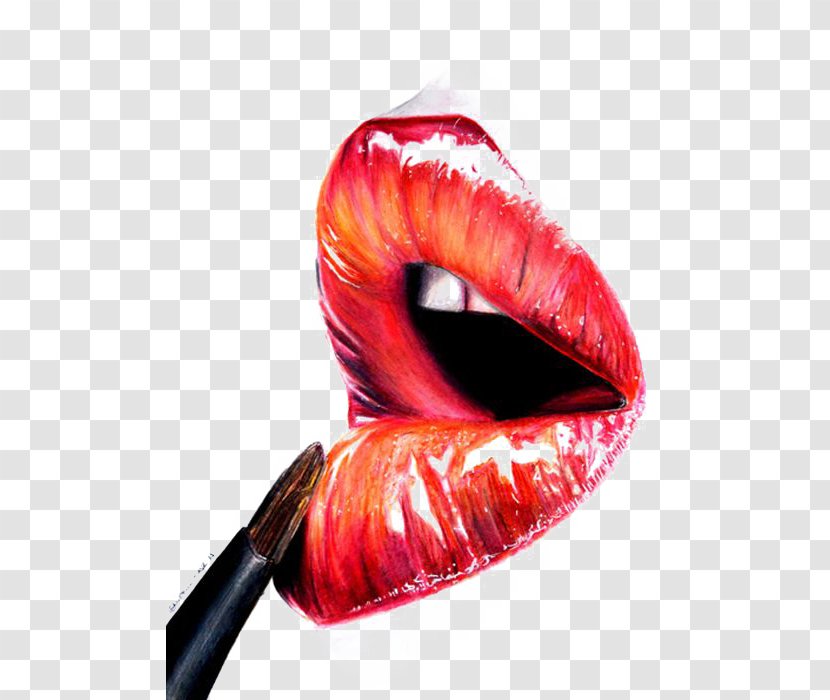 Lip Balm Gloss Lipstick Illustration - Color - Lips Transparent PNG