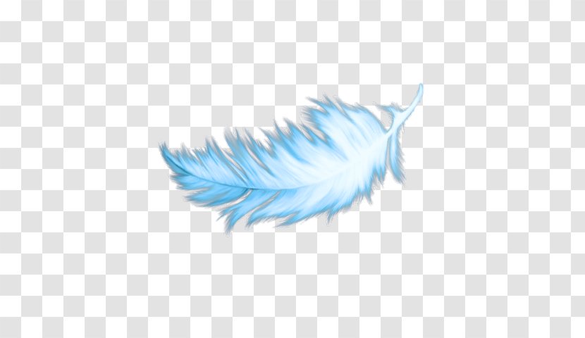Feather - Sticker - Writing Implement Wing Transparent PNG