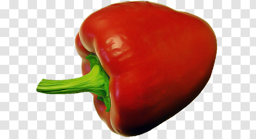 Chili Pepper Habanero Cayenne Pepper Piquillo Pepper Bell Pepper Transparent PNG